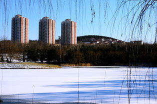 冬日南山 2