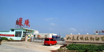 曾拥有数百亿身家的实业大王，是如何被房地产拖垮的？