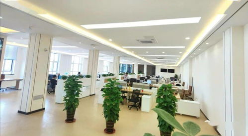 山东济丰新厂9月10日开机试产，年度碳中和授证仪式明日举行